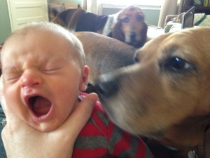 photo (50)