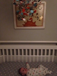photo 1 (3)