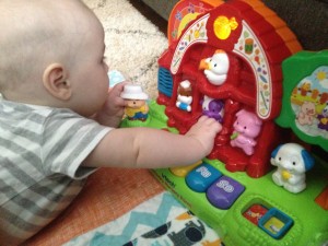 photo 5 (1)